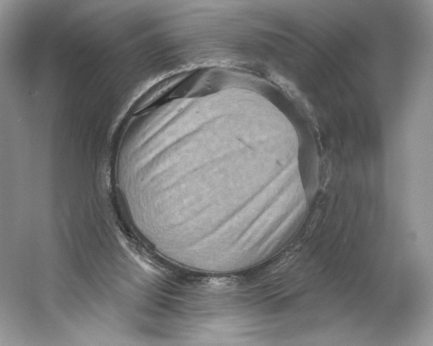 X0000064760060200603031810