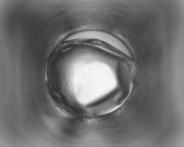 X0000064760062200603031810