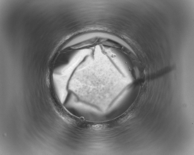 X0000064760064200603031810