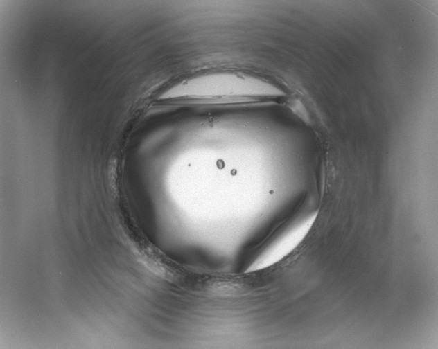 X0000064760066200603031810