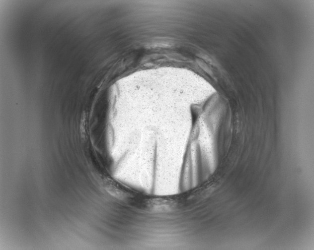 X0000064760073200603031810