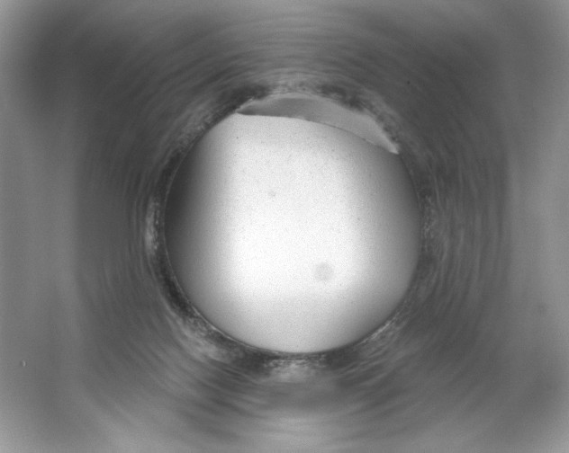 X0000064760074200603031810