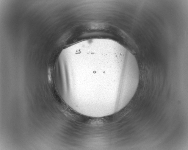 X0000064760075200603031810