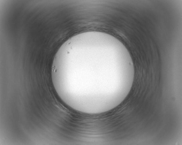 X0000064760077200603031810