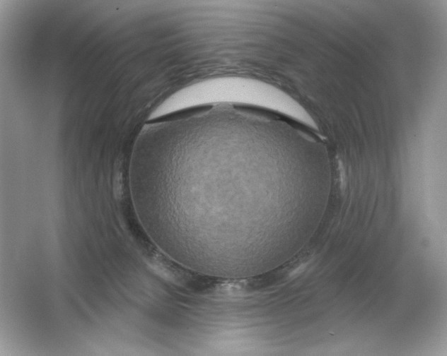 X0000064760080200603031810