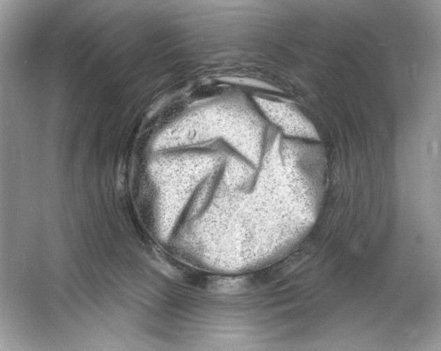 X0000064760081200603031810