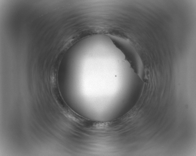 X0000064760084200603031810