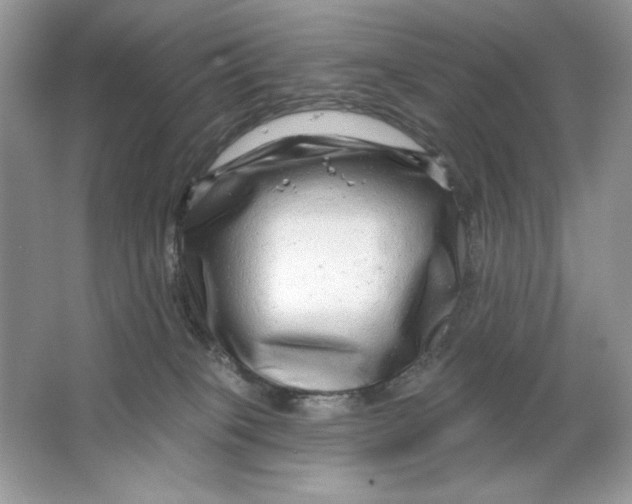 X0000064760085200603031810