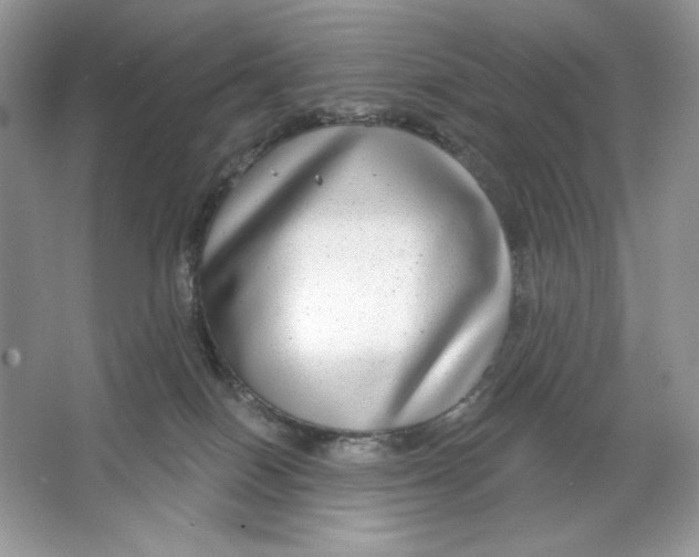 X0000064760086200603031810