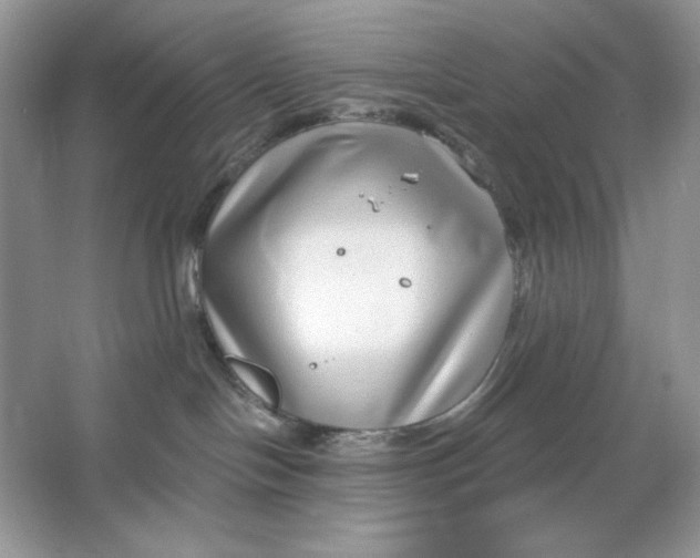 X0000064760094200603031810