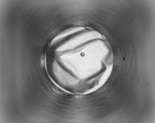 X0000064760095200603031810