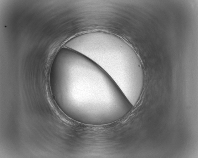 X0000064760097200603031810