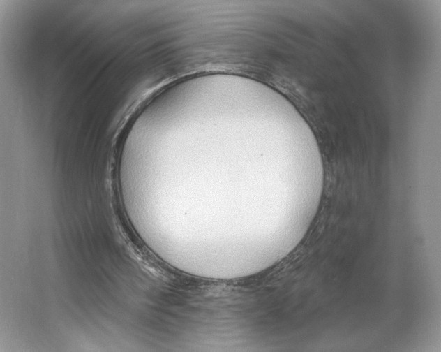 X0000064760098200603031810