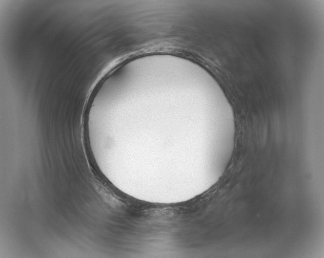 X0000064760100200603031810
