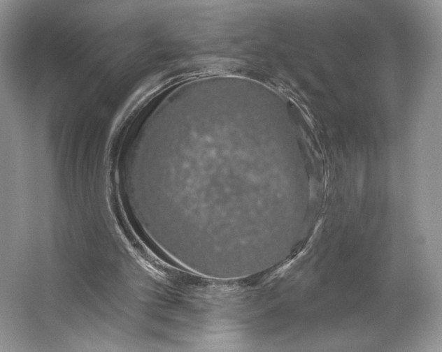 X0000064760101200603031810