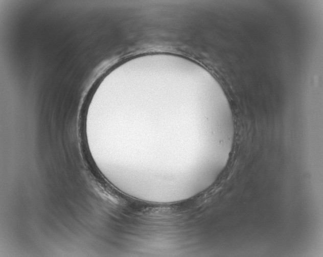X0000064760104200603031809