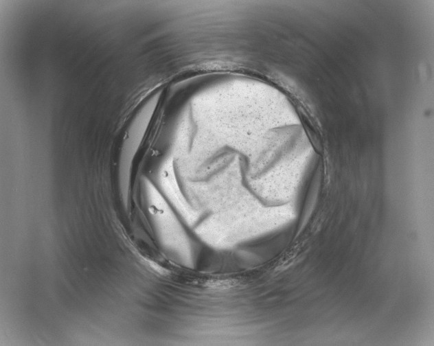 X0000064760105200603031809