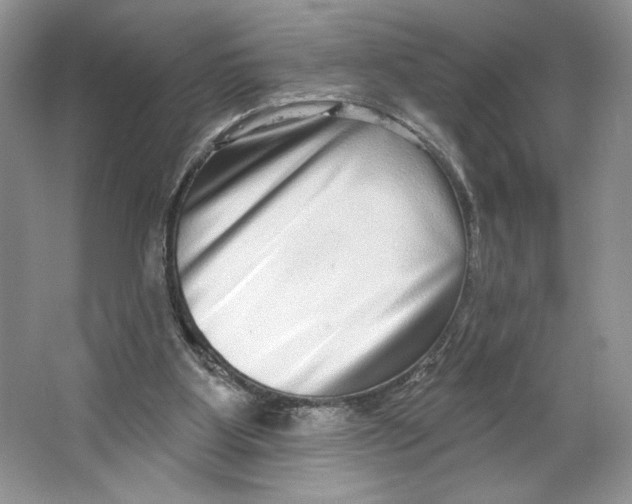 X0000064760107200603031809