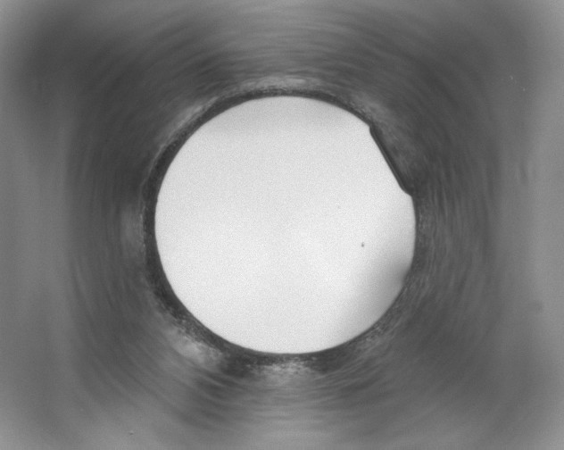 X0000064760112200603031809