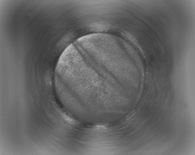 X0000064760114200603031809