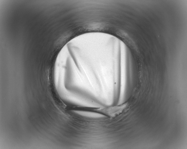 X0000064760115200603031809