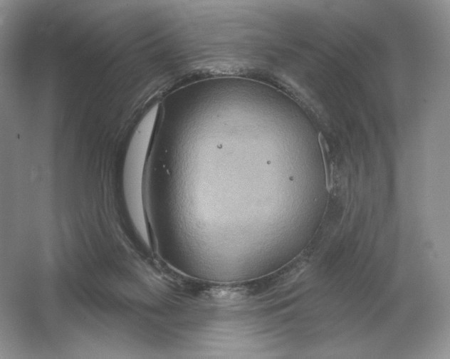 X0000064760117200603031809