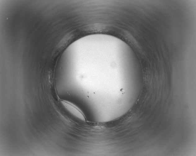 X0000064760119200603031809