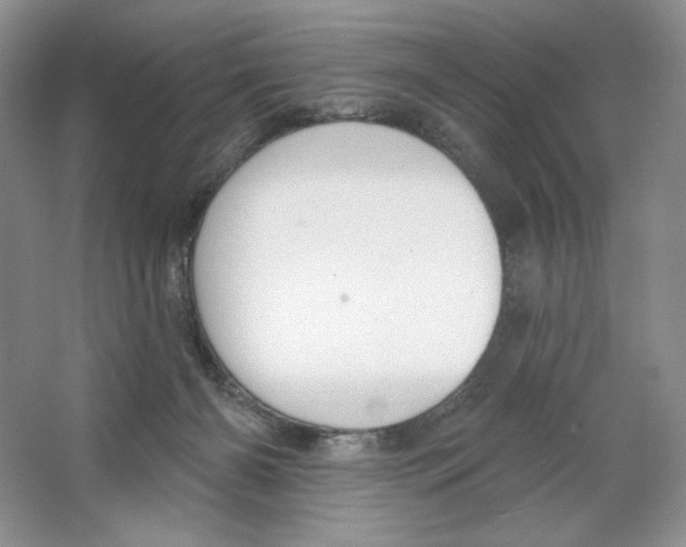 X0000064760126200603031809
