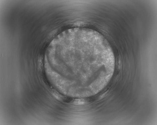 X0000064760127200603031809