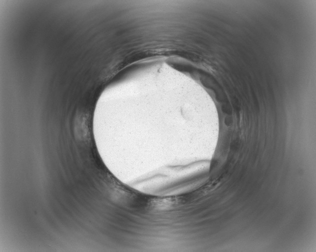 X0000064760131200603031809