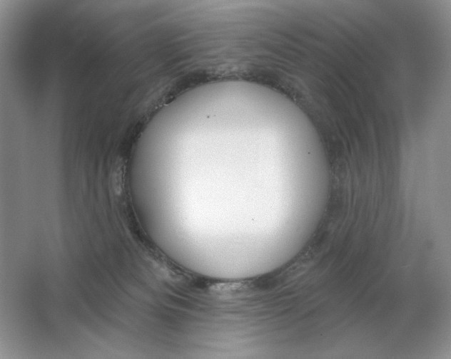 X0000064760133200603031809