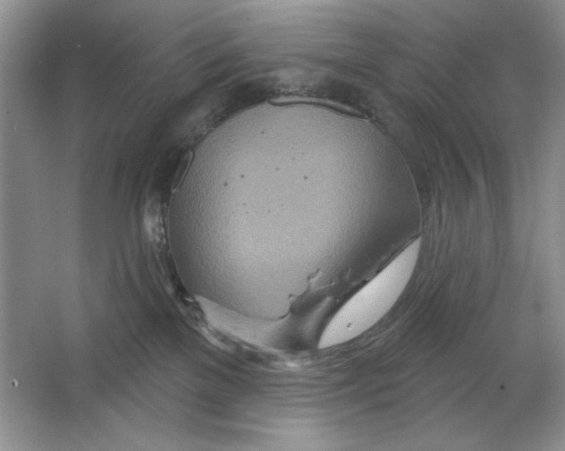 X0000064760137200603031809