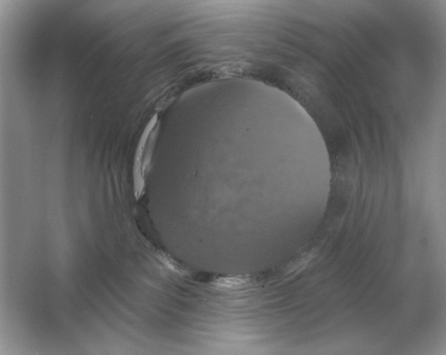 X0000064760139200603031809
