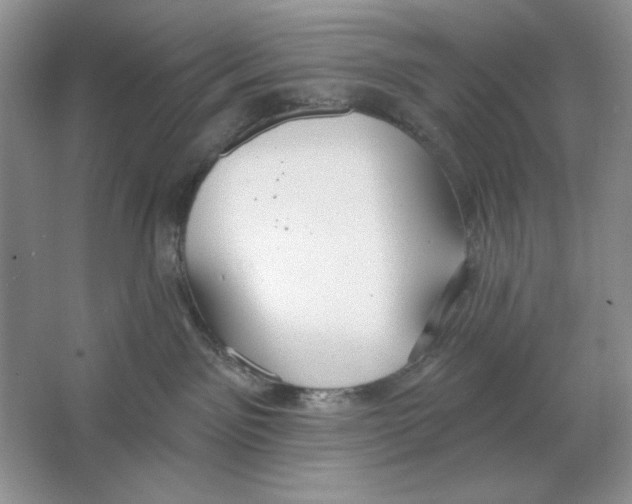 X0000064760141200603031809