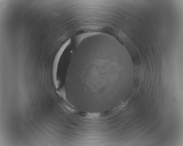X0000064760143200603031809