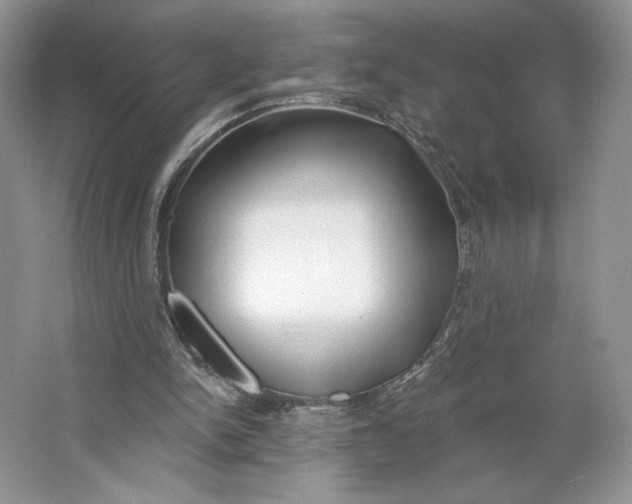 X0000064760150200603031808