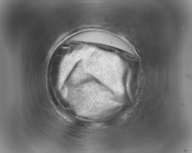 X0000064760151200603031808