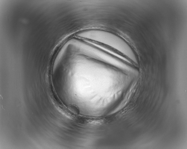 X0000064760155200603031808
