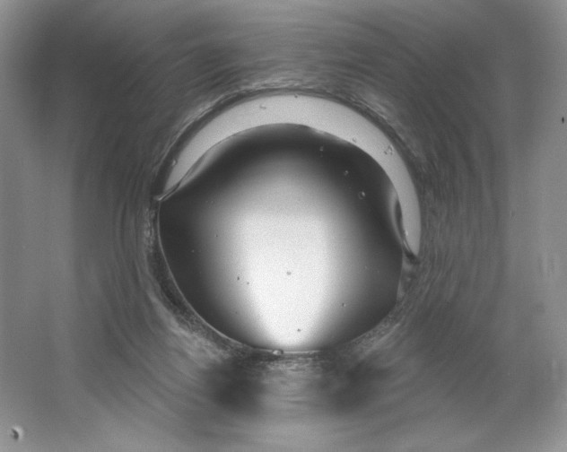X0000064760164200603031808