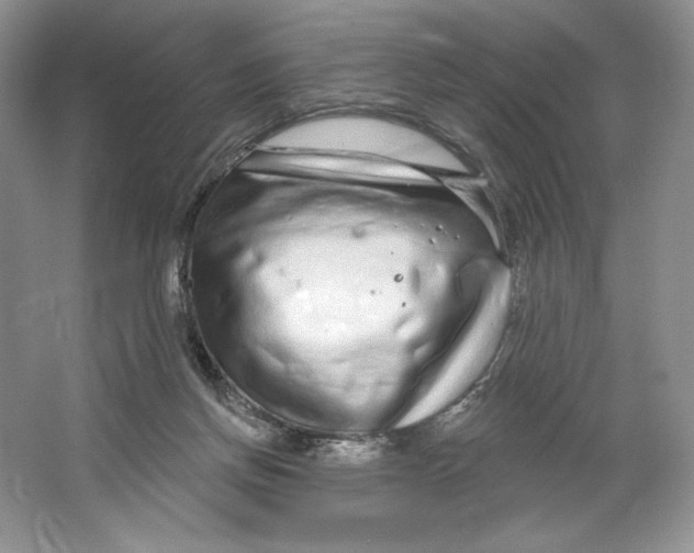 X0000064760166200603031808