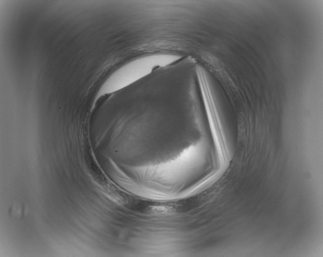 X0000064760167200603031808