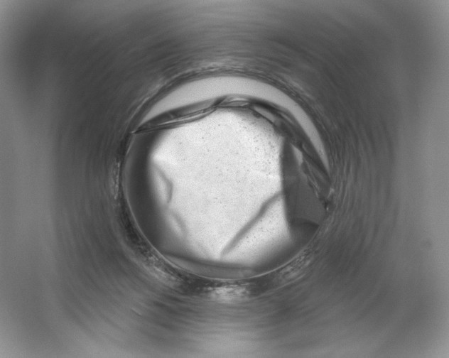 X0000064760168200603031808
