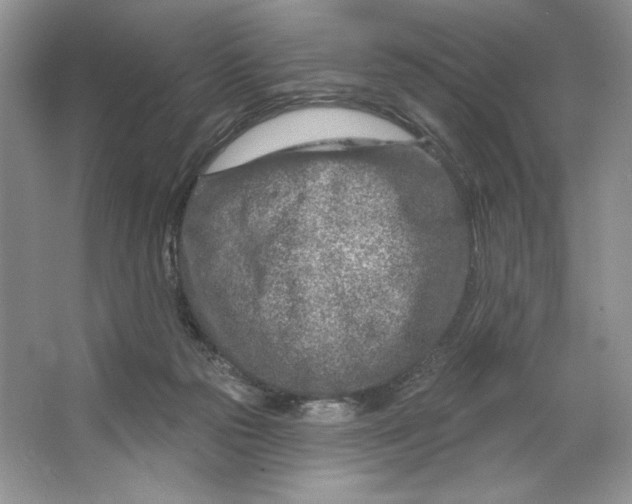 X0000064760169200603031808