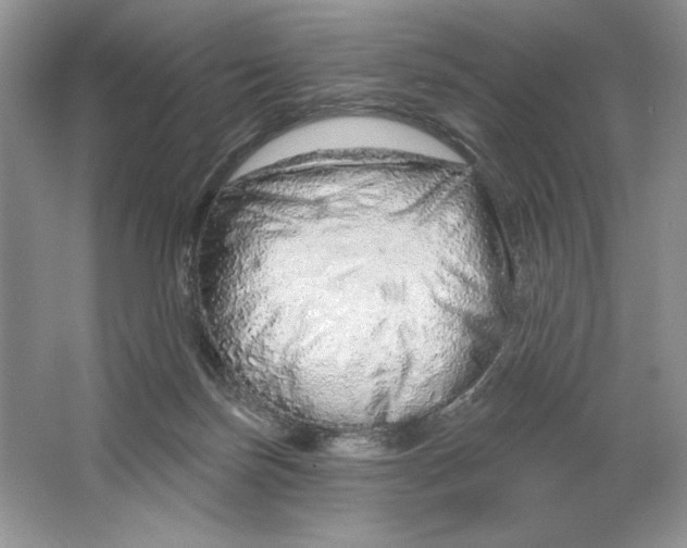 X0000064760171200603031808