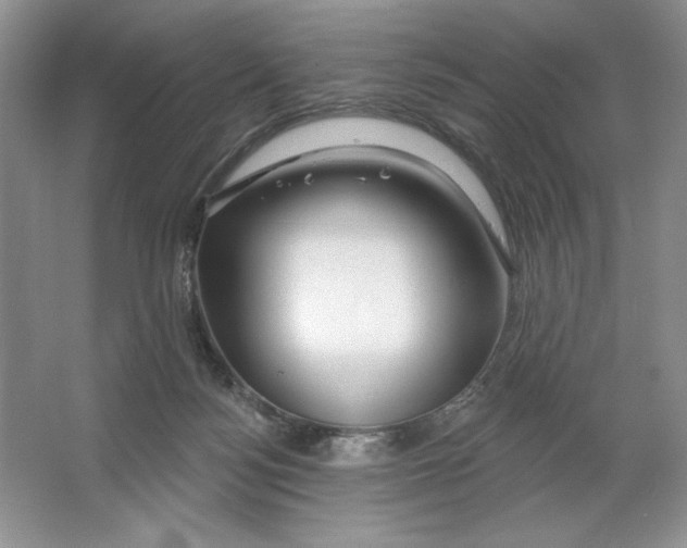 X0000064760172200603031808