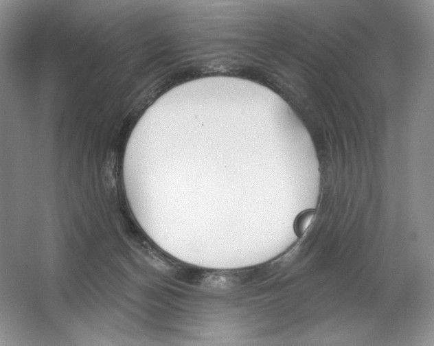 X0000064760174200603031808