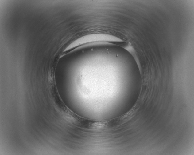 X0000064760176200603031809