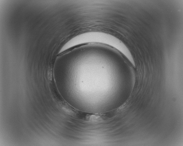 X0000064760180200603031809