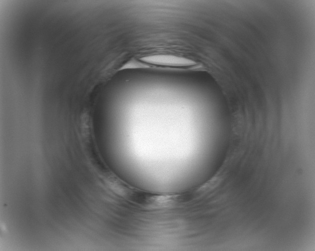 X0000064760184200603031809