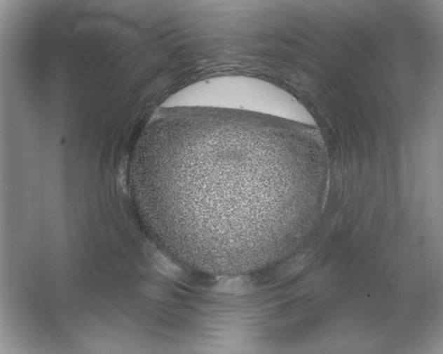 X0000064760185200603031809